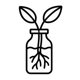 The Infinite Jungle: Master the Art of Home Propagation